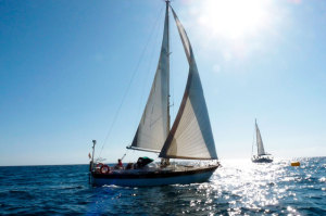 ampliar foto regata301