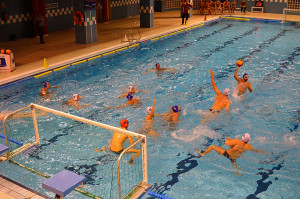 ampliar foto caballa13