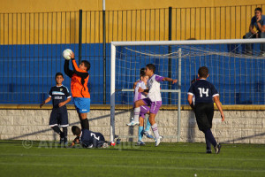 ampliar foto IMG_4840
