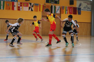 ampliar foto IMG_6944
