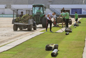 Operarios de la empresa Royalverd, colocando el césped en el Murube 